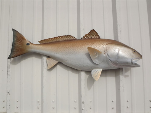 40 inch redfish half mount fish replica