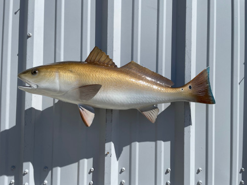 27 inch redfish full mount fish replica for sale