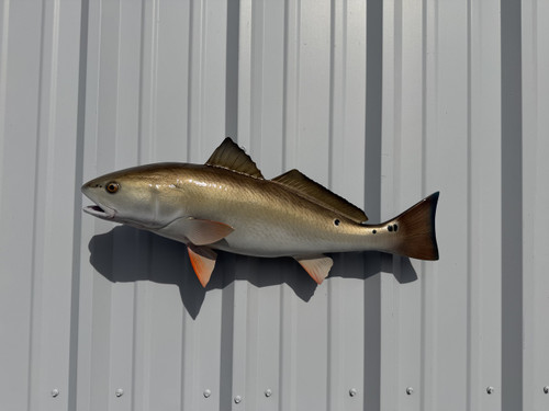 27 inch redfish fish replica in stock for sale