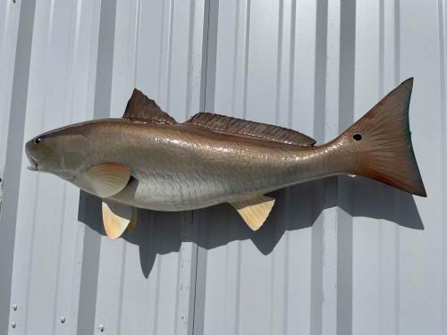 32 inch redfish mount in stock