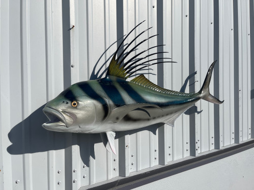 49 inch roosterfish fish replica for sale