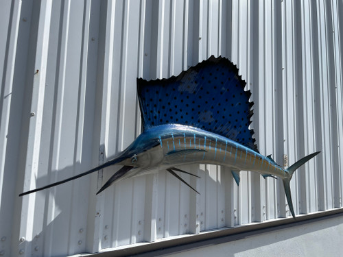 79 Inch Atlantic Sailfish Full Mount Replica - Head View 79 Inch Atlantic Sailfish Full Mount Replica - Head View