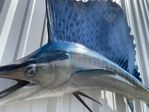 79 Inch Atlantic Sailfish Fish Mount Replica - Face View 79 Inch Atlantic Sailfish Fish Mount Replica - Face View
