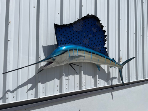 79 Inch Atlantic Sailfish Full Mount Replica - Head View