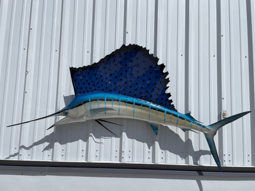 in stock 79 sailfish fish mount for sale