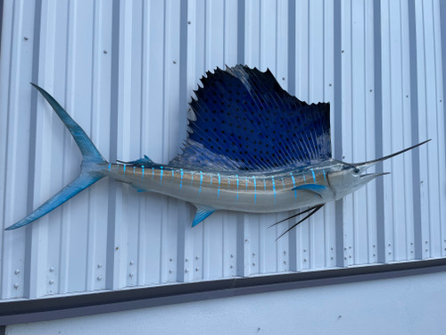 In Stock 80 Sailfish Fish Mount - Flank View In Stock 80 Sailfish Fish Mount - Flank View