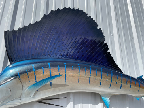 95 Inch Atlantic Sailfish Left Facing Full Mount Fish Replica - Dorsal View 95 Inch Atlantic Sailfish Left Facing Full Mount Fish Replica - Dorsal View