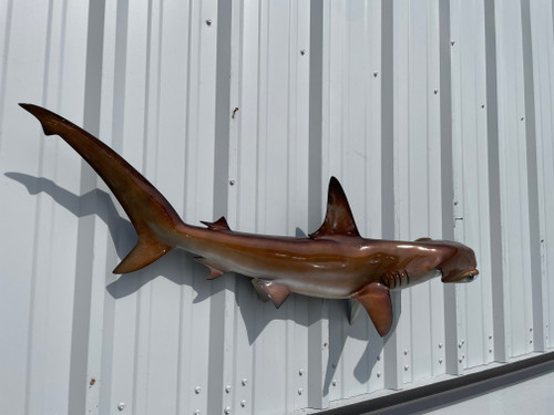 In Stock 48 Inch Hammerhead Shark Full Mount Shark Replica - View