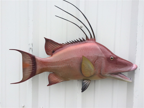 Red Snapper Fish Mount, mounted fish