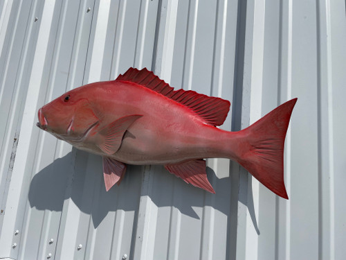 Snapper, Red – Fish Mounts