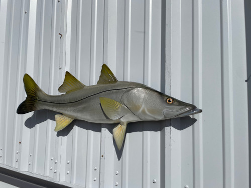 39 Inch Snook Half Mount Replica - Head View