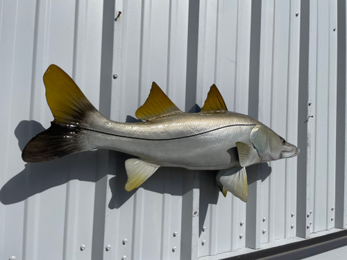 39 inch snook fish mount in stock 39 inch snook fish mount in stock