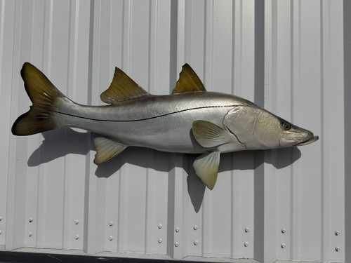 39 inch snook mount for sale