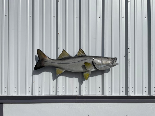 コレクション snook 46 Inch Snook Mount 46 Inch Snook Full Mount