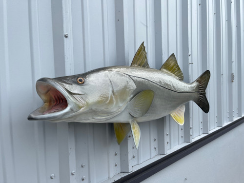 44 Inch Snook Full Mount Replica - Head View