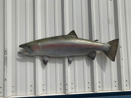 32 Inch Steelhead Trout Fish Mount Replica Reproduction For Sale