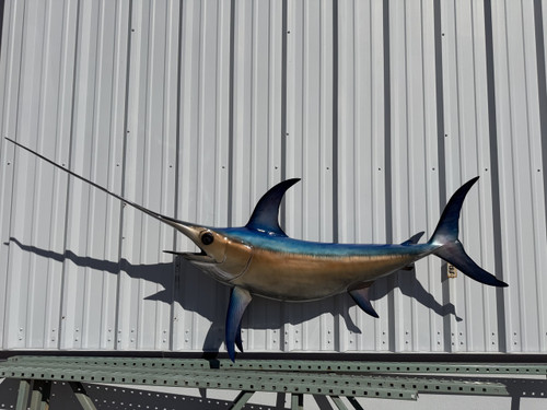 In Stock 100 Inch Swordfish Fish Full Mount - Side View