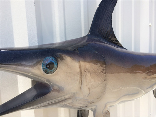 76 Inch Swordfish Fish Mount - Face View