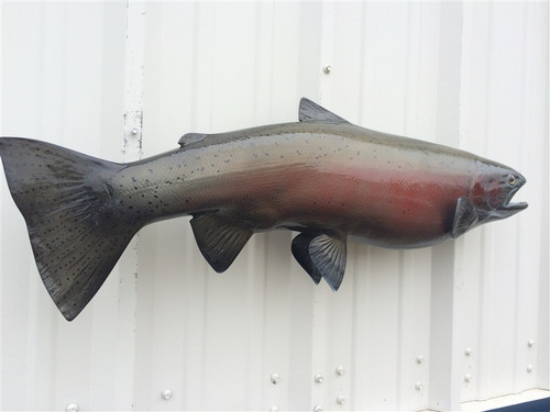Steelhead Trout Mounts By Mount This Fish