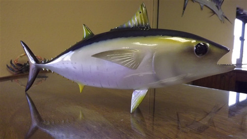 Blackfin Tuna Mounts By Mount This Fish | Blackfin Tuna Fish Mounts