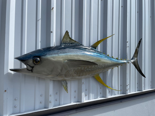 55 inch yellowfin tuna half sided fish replica
