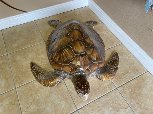 48 Inch Green Turtle Replica