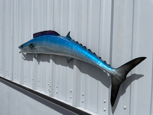 54 Inch Wahoo Fish Mount - Flank View 54 Inch Wahoo Fish Mount - Flank View