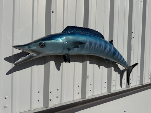 48-inch-wahoo-fish-replica-for-sale