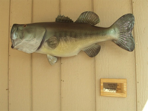 Oak Stained Wood Panel With Brass Plate - 4" x 5" Oak Stained Wood Panel With Brass Plate - 4" x 5"
