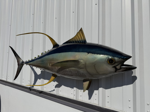 62 Inch Yellowfin Tuna Fish Replica