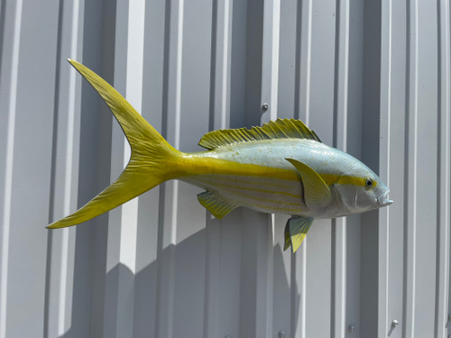 27 Inch Yellowtail Snapper Full Mount Fish Replica - Flank View 27 Inch Yellowtail Snapper Full Mount Fish Replica - Flank View