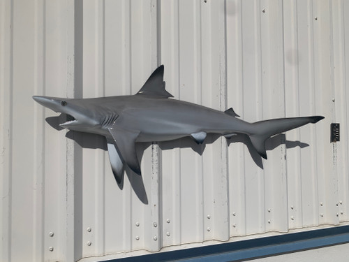 45" Blacktip Shark Half Mount Replica