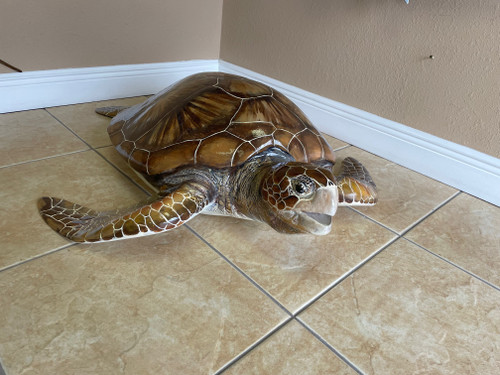 In Stock 48 Inch Green Turtle Mount - Head View