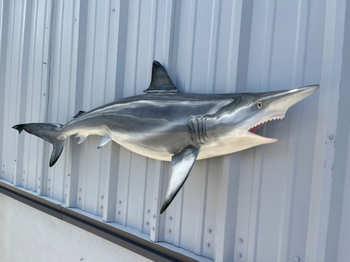 62 inch blacktip shark half sided replica