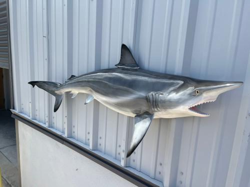 62 inch blacktip shark half mount reproduction