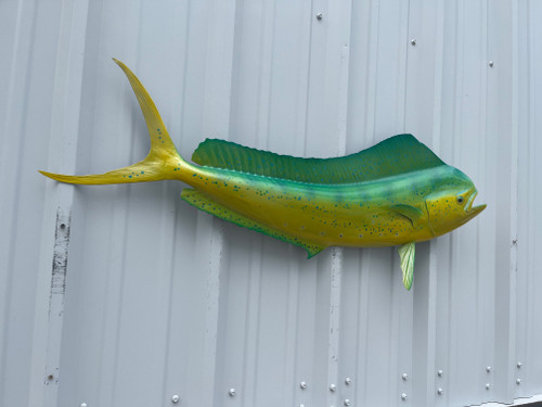 42 Inch Bull Dolphin Half Mount Fish Replica Green Color - Flank View