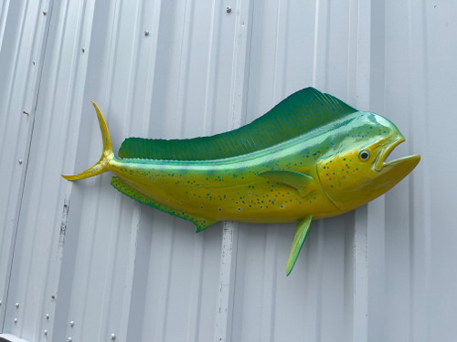 42 Inch Bull Dolphin Half Mount Fish Replica Green Color - Head View