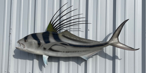 49 inch roosterfish fish replica for sale
