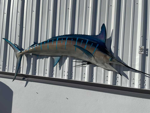 Big Game Fish Replica Combo Package 90 Striped Marlin