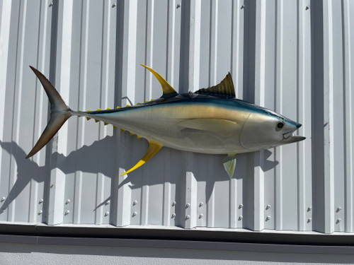 46 Inch Yellowfin Tuna Half Fish Mount Right Facing - Side View