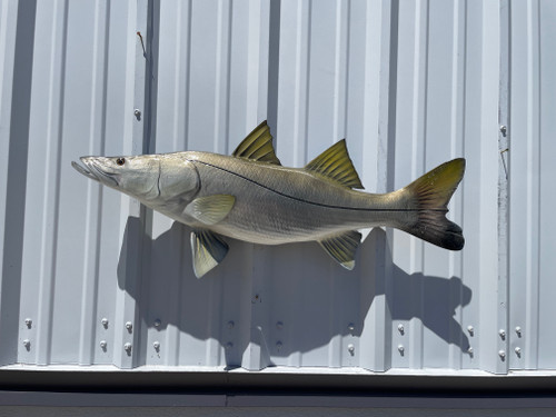 36 inch snook #2 fish replica for sale