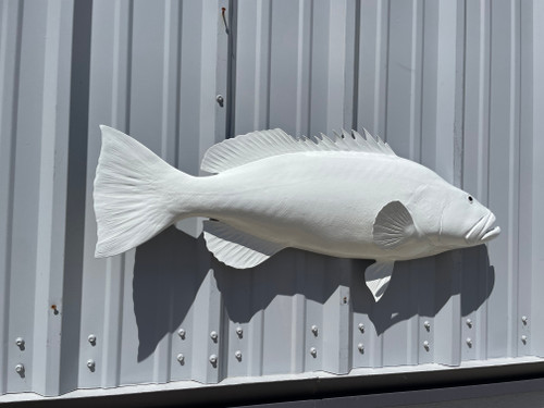 gloss white 38 inch black grouper half mount