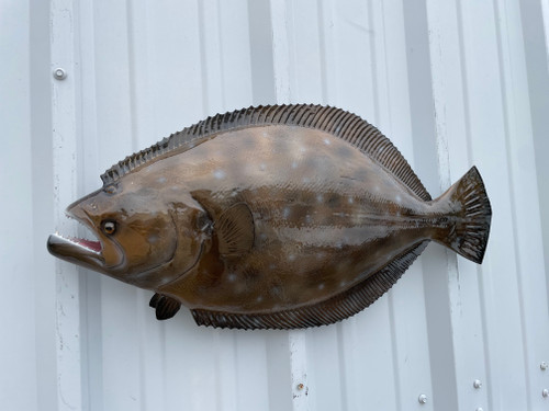27 Inch Flounder Fish Replica - Head View