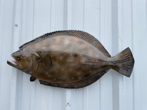 27 Inch Flounder Fish Mount - Side View