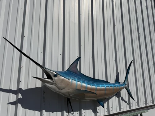 97 Inch Blue Marlin Full Mount Replica - Head View