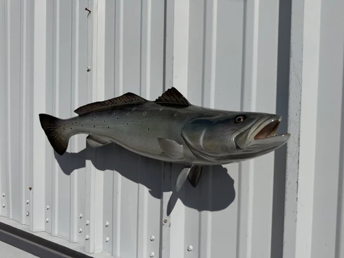 in stock 29 inch seatrout fish replica for sale