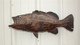 27 inch Black Grouper Full Sided Fish Replica Side View
