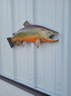 24 inch brook trout half sided fish mount