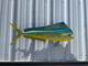 In Stock 40 Inch Bull Dolphin Fish Mount Replica