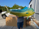 In Stock 62 Inch Fish Mount - Flank View